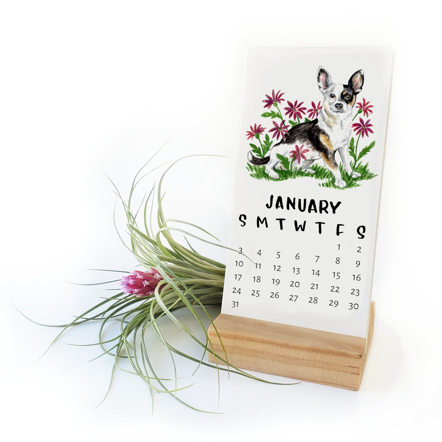 2025 Tiny Dogs + Flowers Desk Calendar