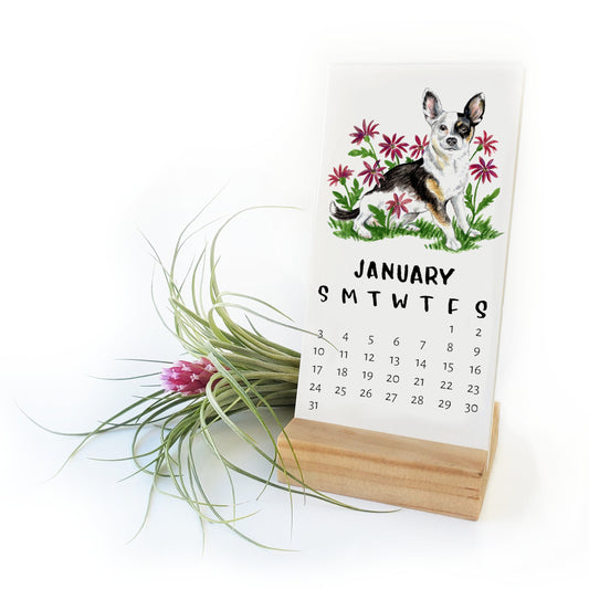 Pre-Order 2025 Tiny Dogs + Flowers Desk Calendar