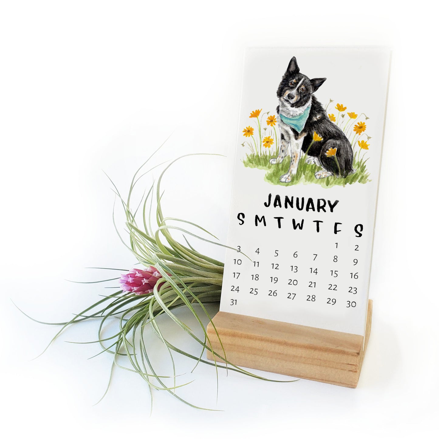 2027 Dogs + Flowers Desk Calendar