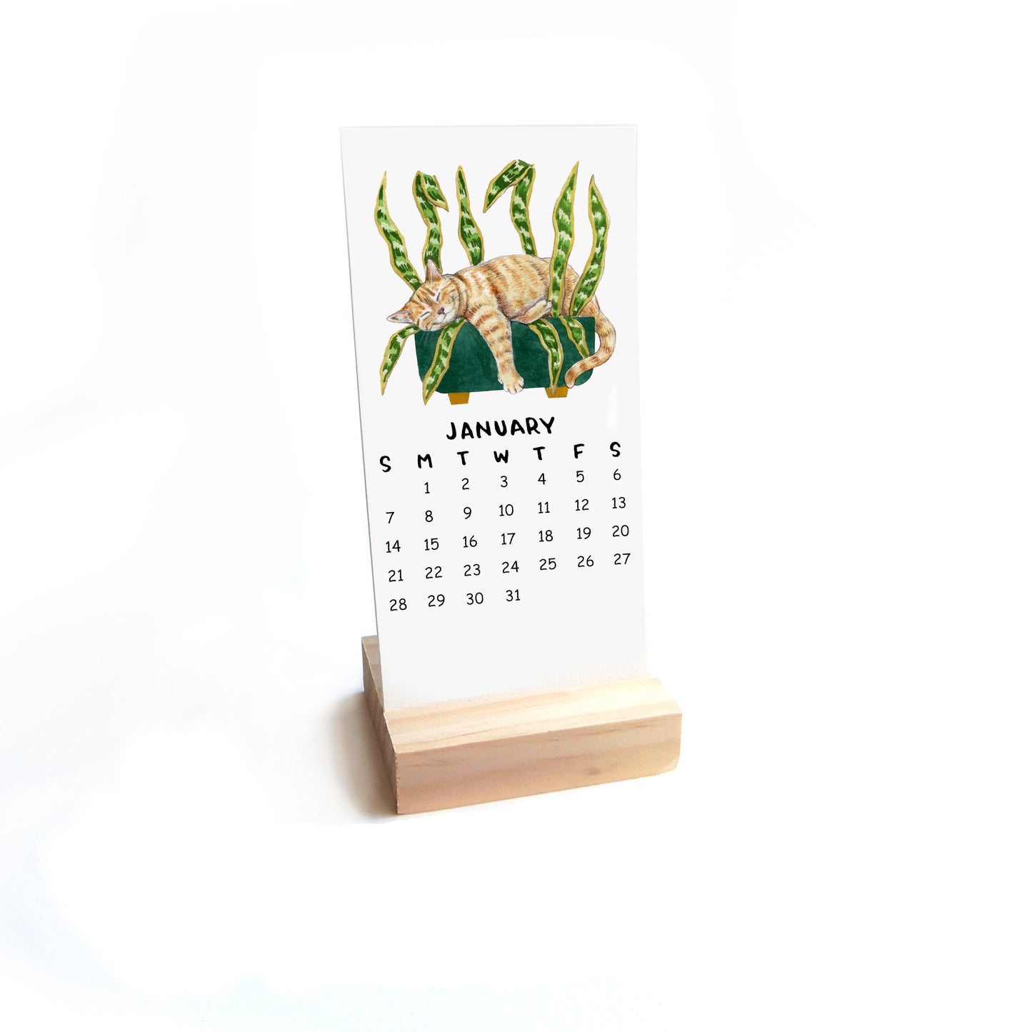 Pre-Order 2025 Tiny Cats + Plants Desk Calendar