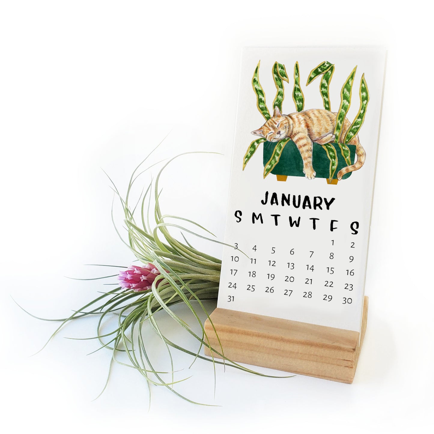 2025 Tiny Cats + Plants Desk Calendar