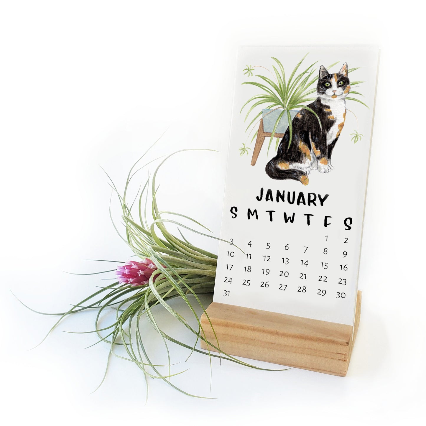 2027 Cats + Plants Desk Calendar