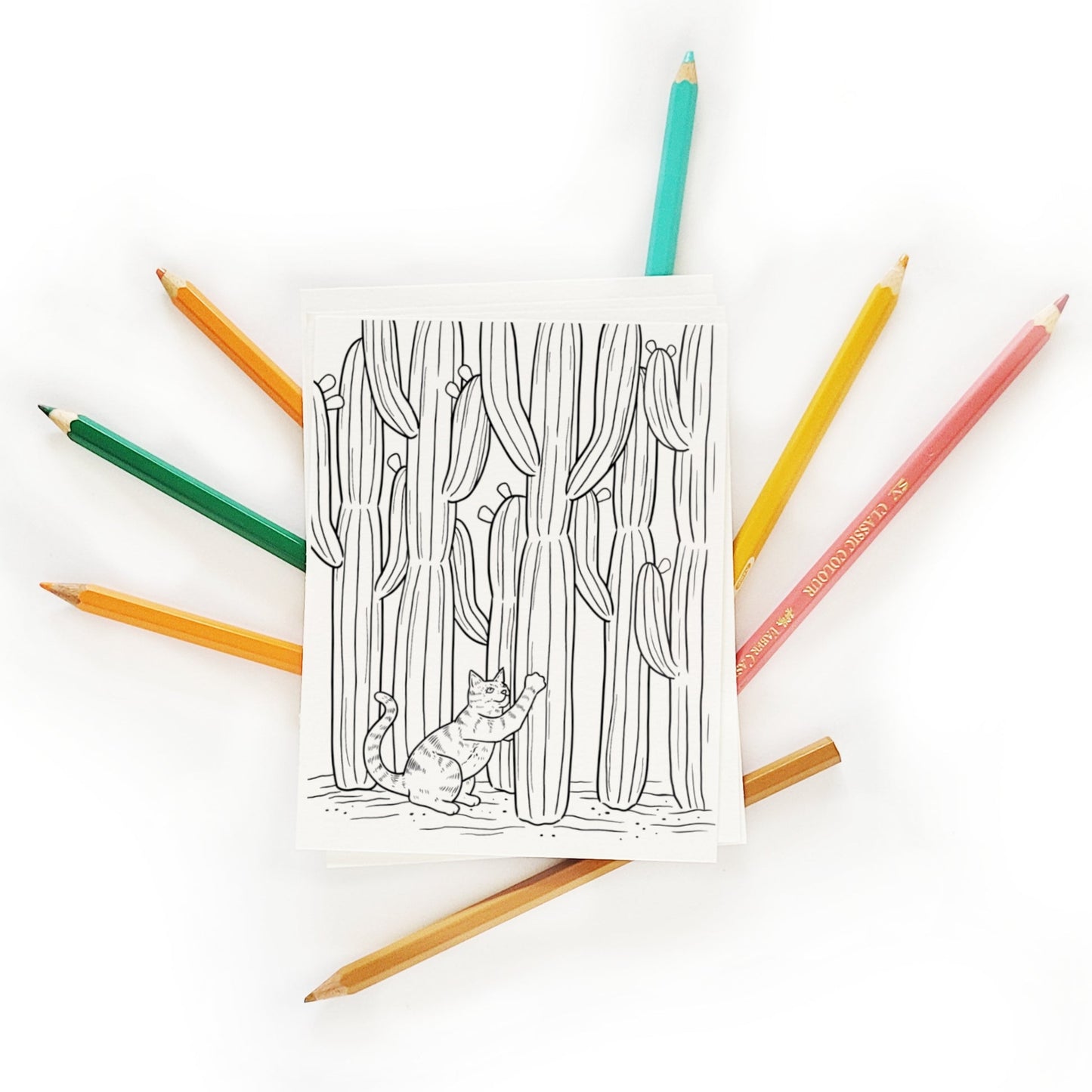 Cats + Cactus Coloring Postcard Set