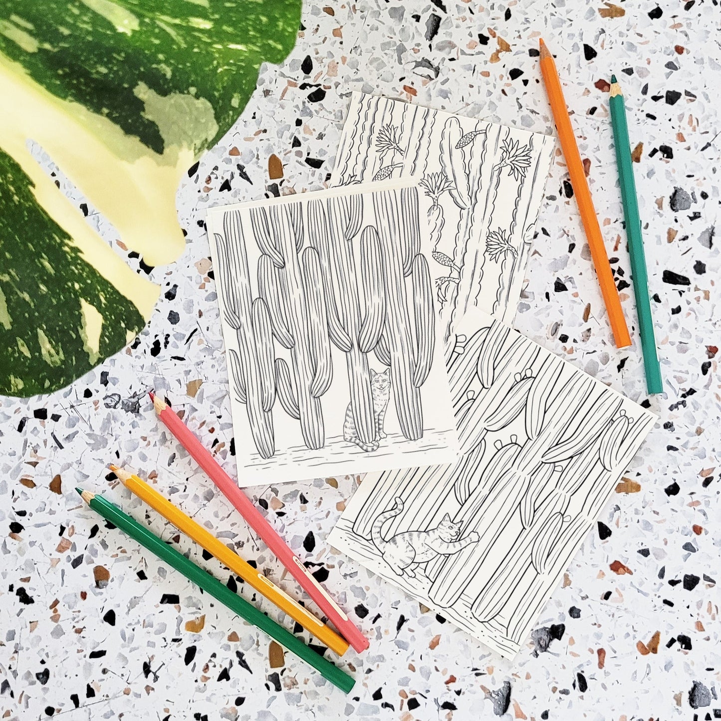 Cats + Cactus Coloring Postcard Set