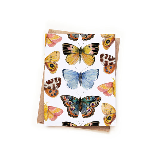 Butterfly + Moth Everyday Card