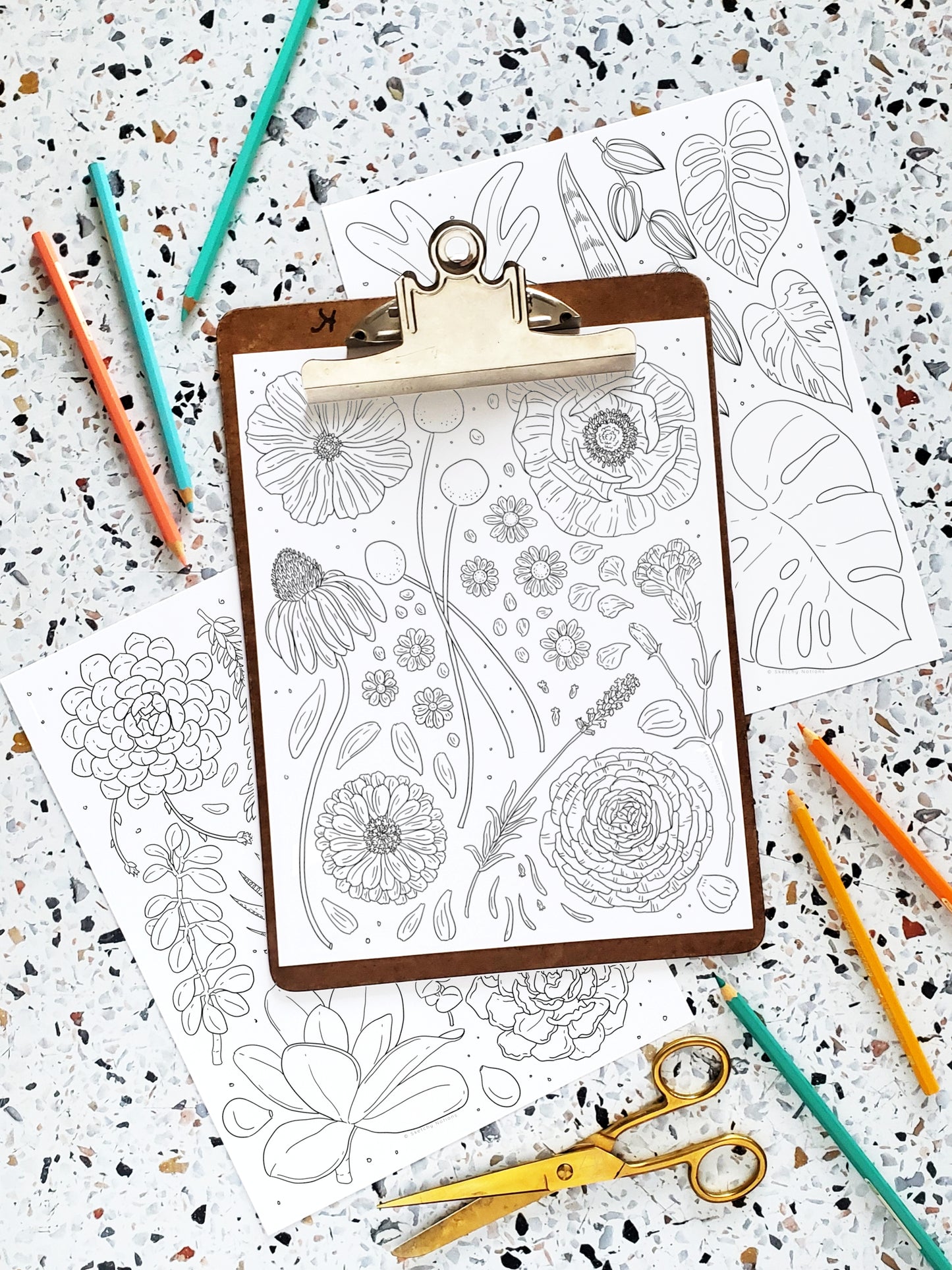 Nature Collections Coloring Pages