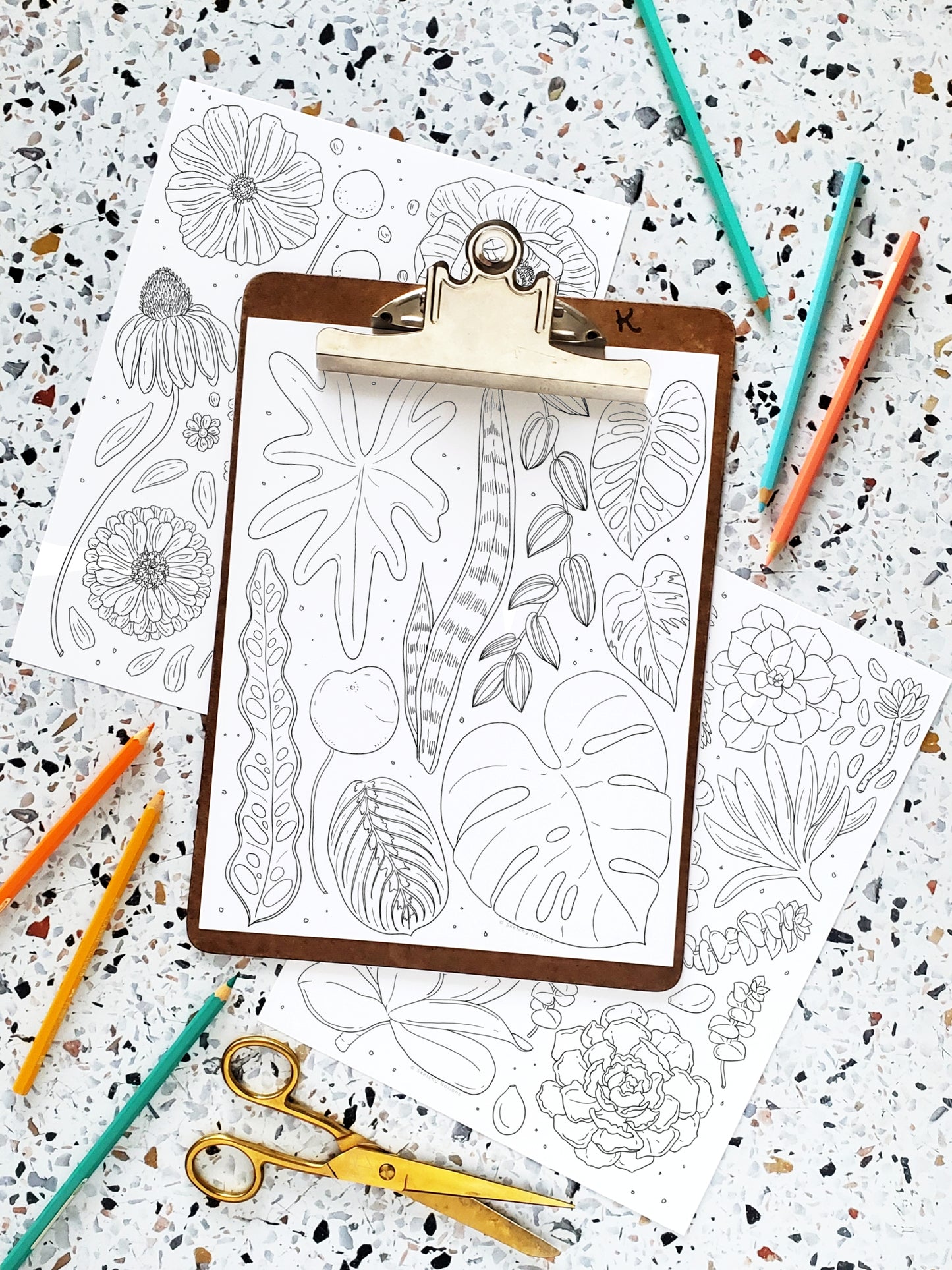 Nature Collections Coloring Pages