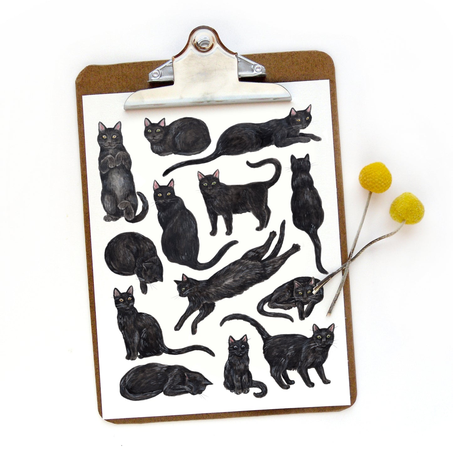 Clipboard with black cat illustrations and yellow flowers on a white background