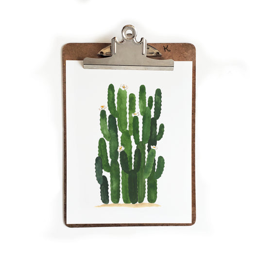 Blooming Senita Cactus Watercolor Art Print 1