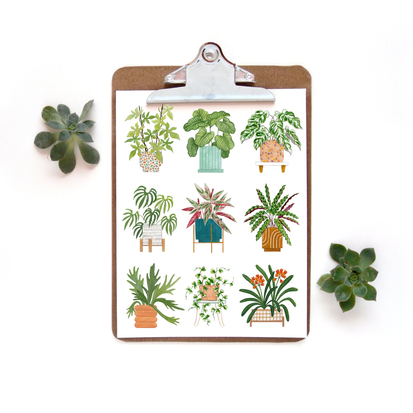 Plant Collage 5 Watercolor Print