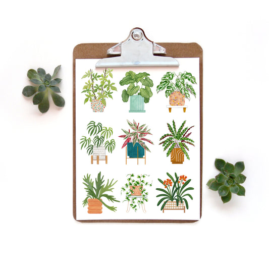 Plant Collage 5 Watercolor Print