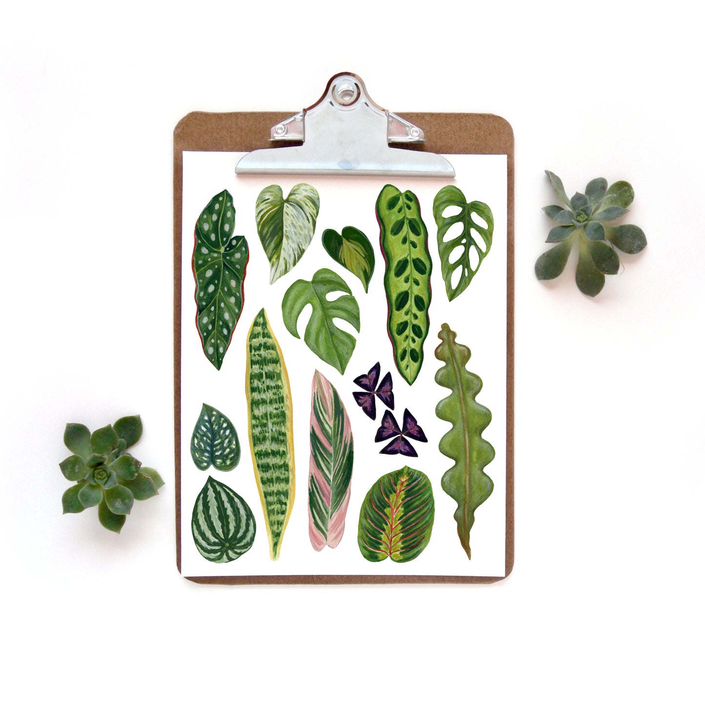 Plant Leaves Collection Watercolor Print