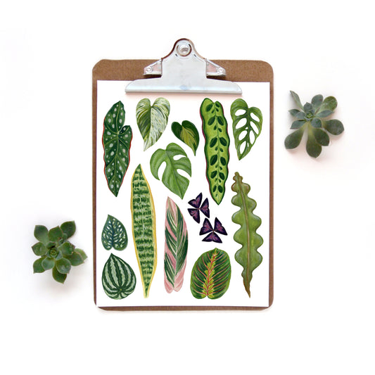 Plant Leaves Collection Watercolor Print