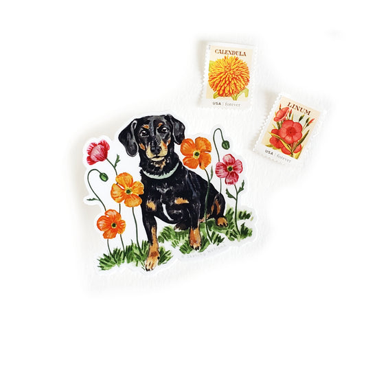 Dog and Flower Sticker 7 - Dachshund Mix with Icelandic Poppies