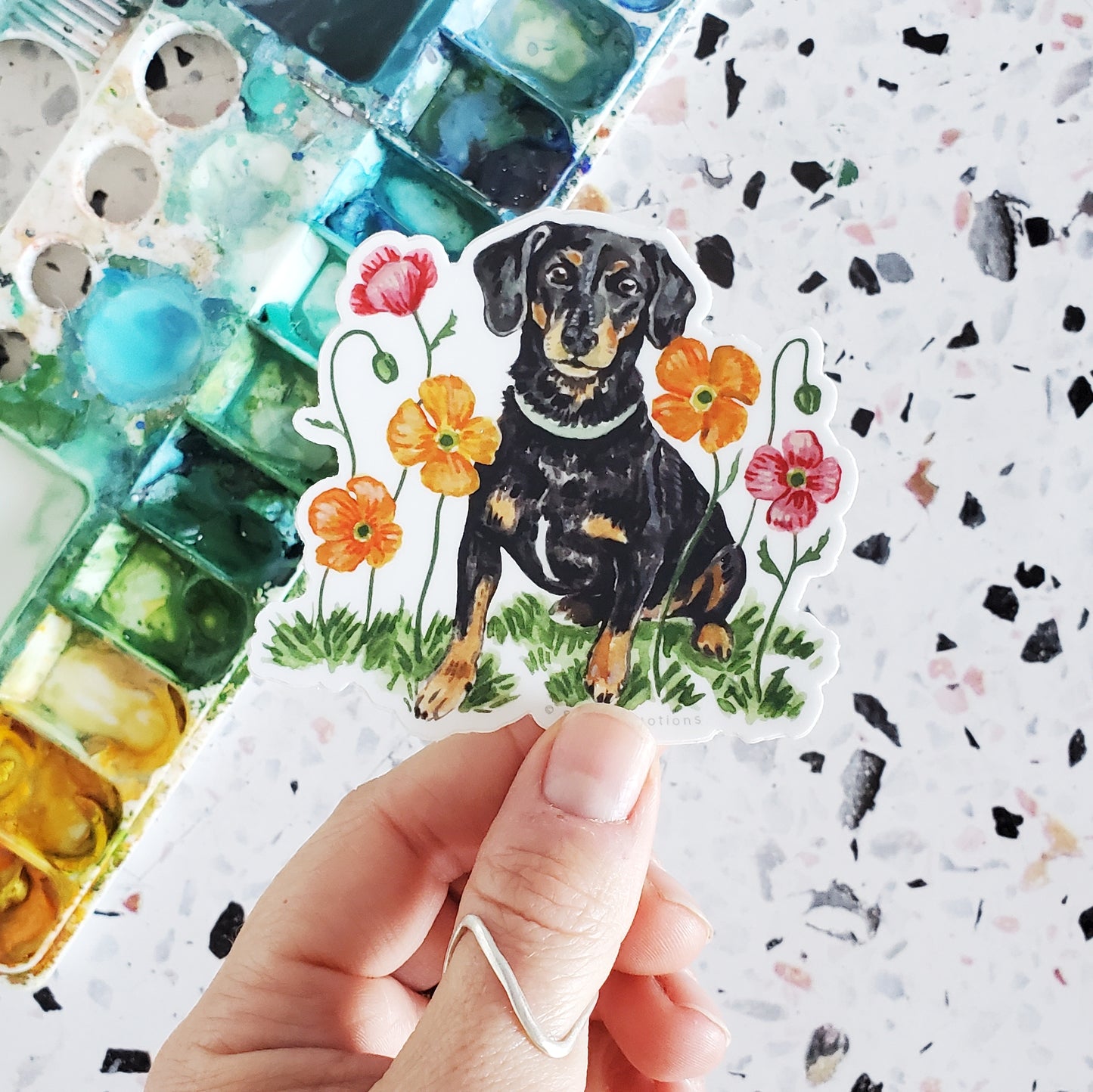Dog and Flower Sticker 7 - Dachshund Mix with Icelandic Poppies