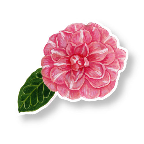 Camellia Flower Watercolor Sticker 1