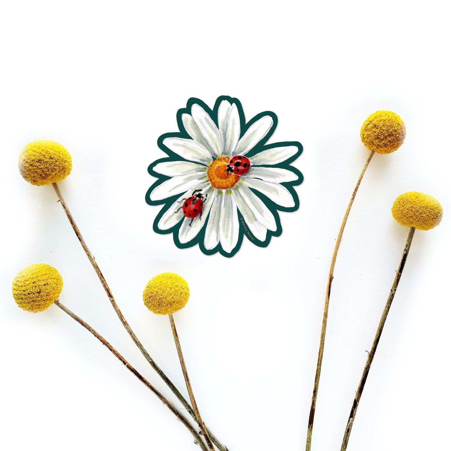 Daisy and Ladybugs Watercolor Sticker