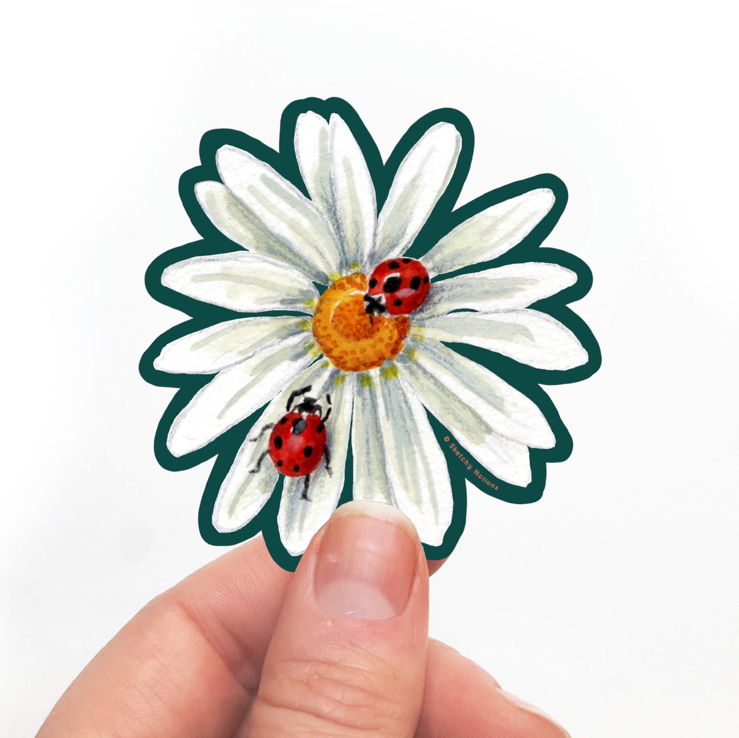 Daisy and Ladybugs Watercolor Sticker