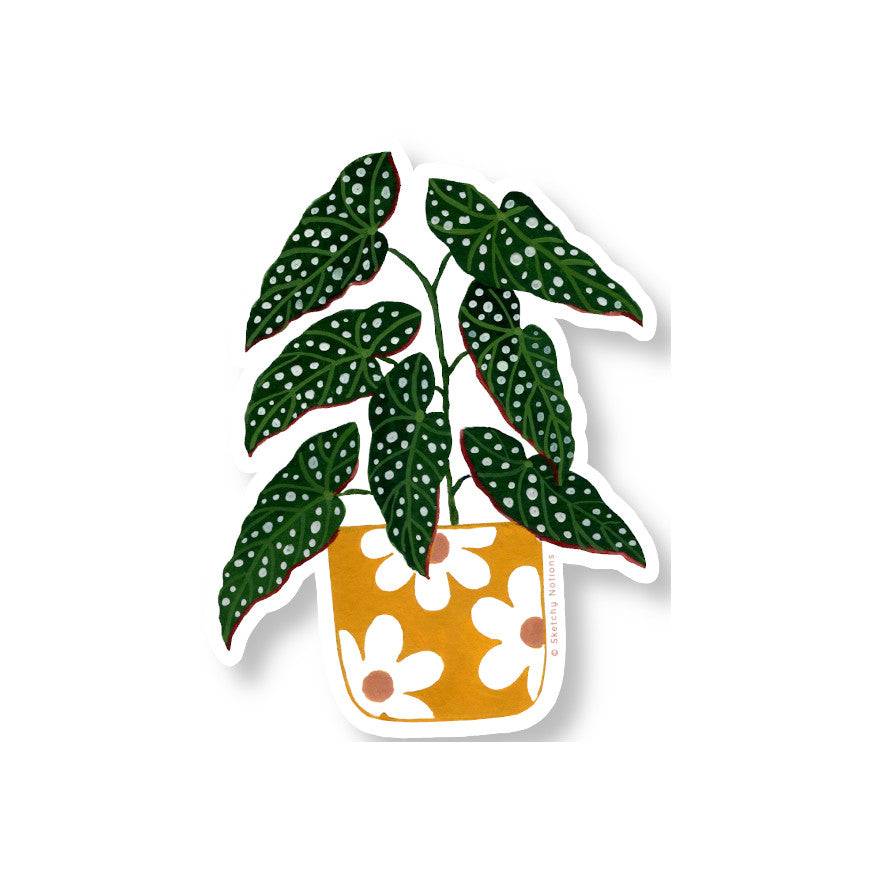 Begonia Maculata Potted Plant Watercolor Sticker