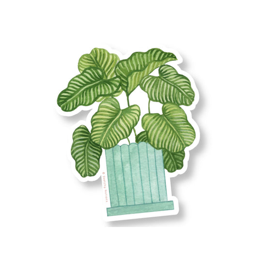 Calathea Orbifolia Potted Plant Watercolor Sticker