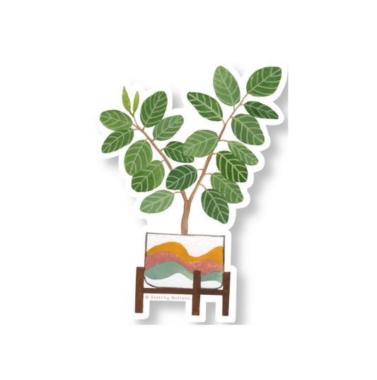 Ficus Audrey Potted Plant Watercolor Sticker