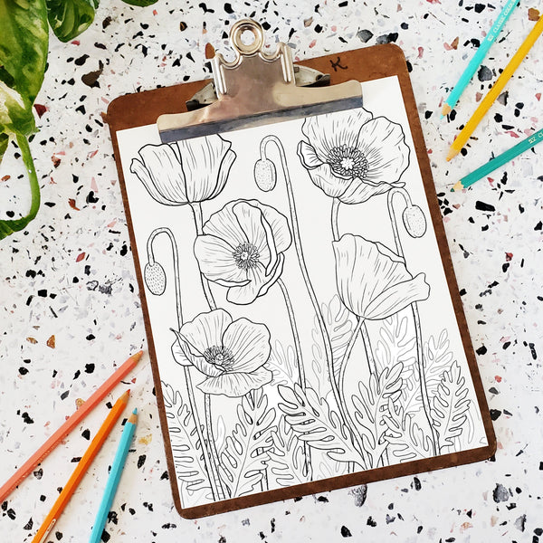 Icelandic Poppy Printable Coloring Page Download Hand-drawn – Sketchy ...