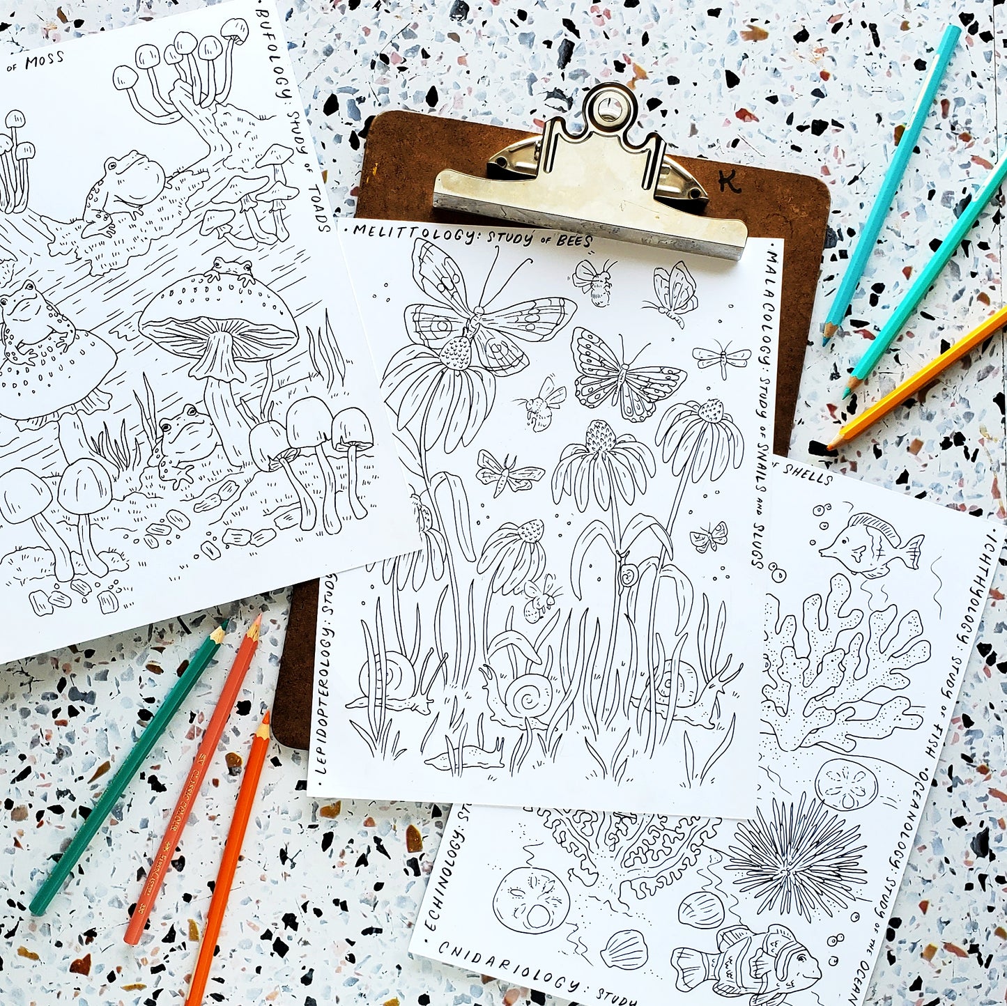 Ologies Themed Coloring Pages with Gardens, Forest and Ocean Ologies