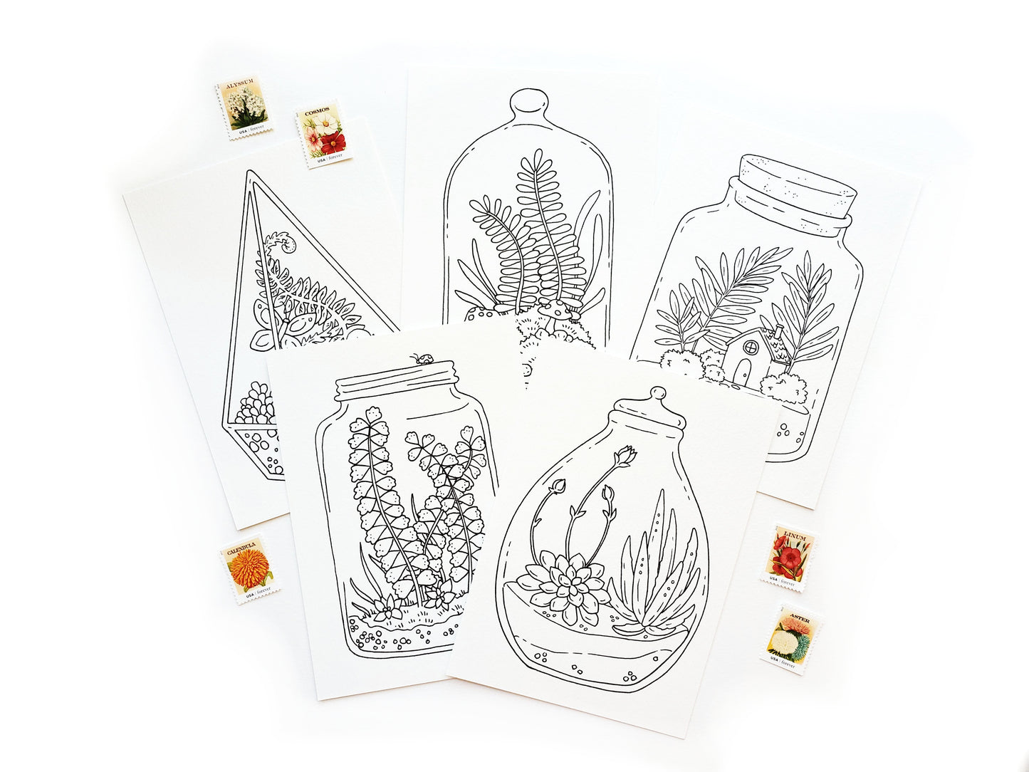 Coloring Postcards Terrariums