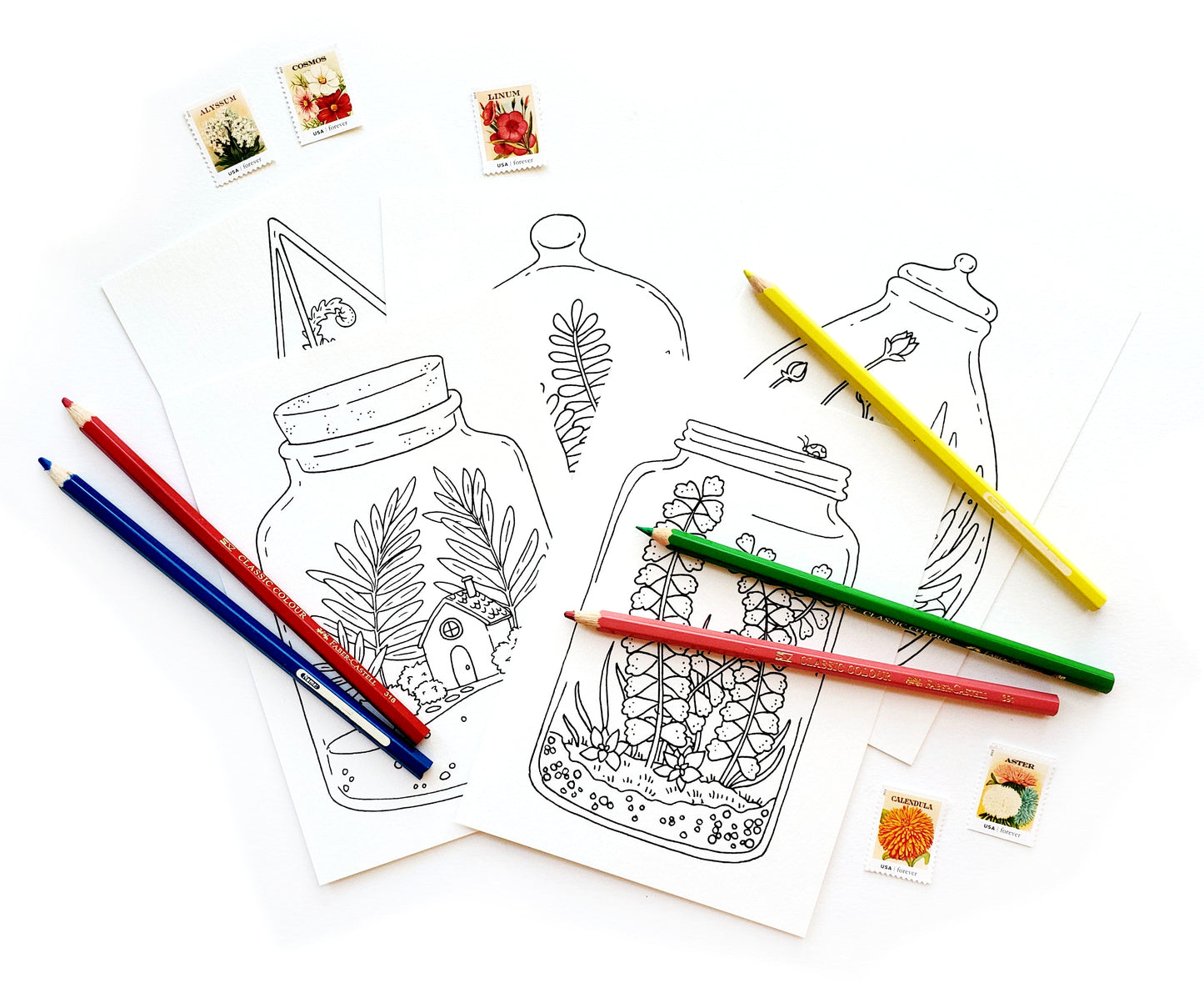 Coloring Postcards Terrariums