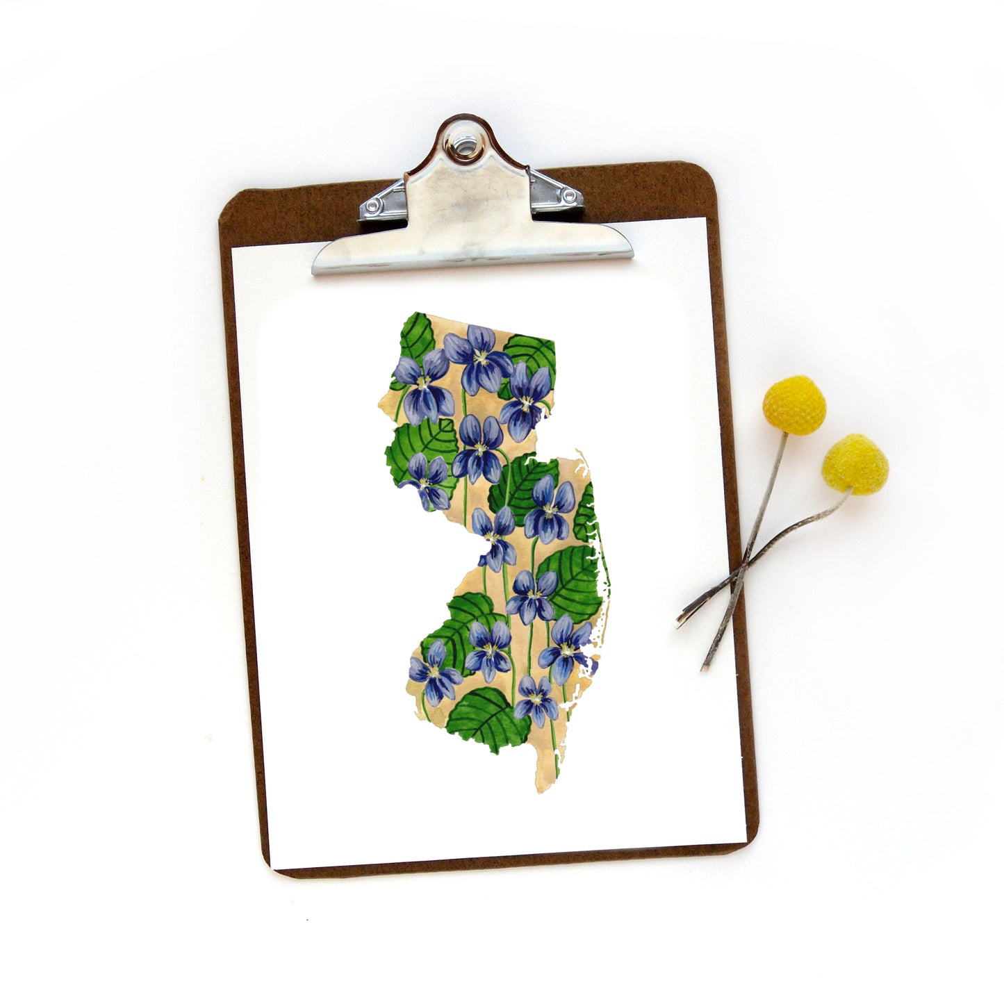 New Jersey State Flower Violet Print