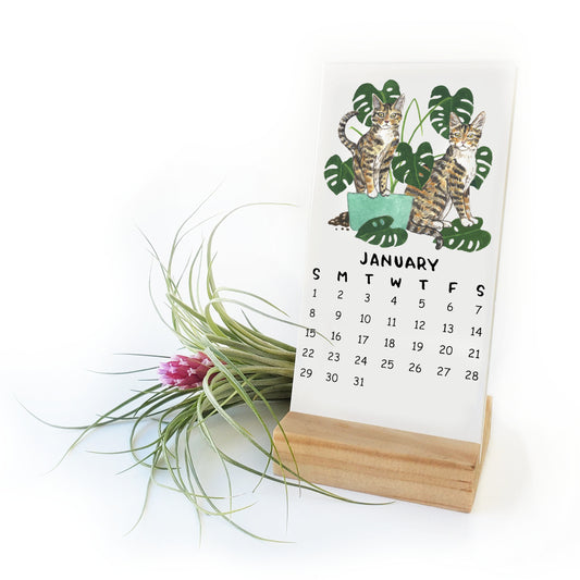 2023 Tiny Cats + Plants Watercolor Desk Calendar SALE