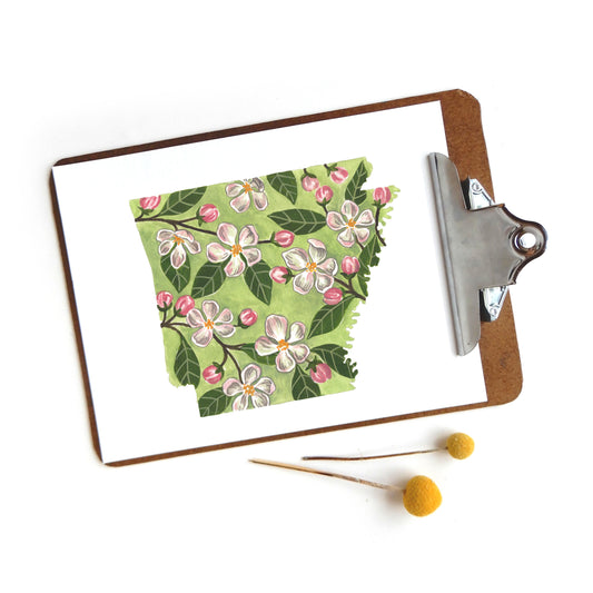 Arkansas State Flower Apple Blossom Print
