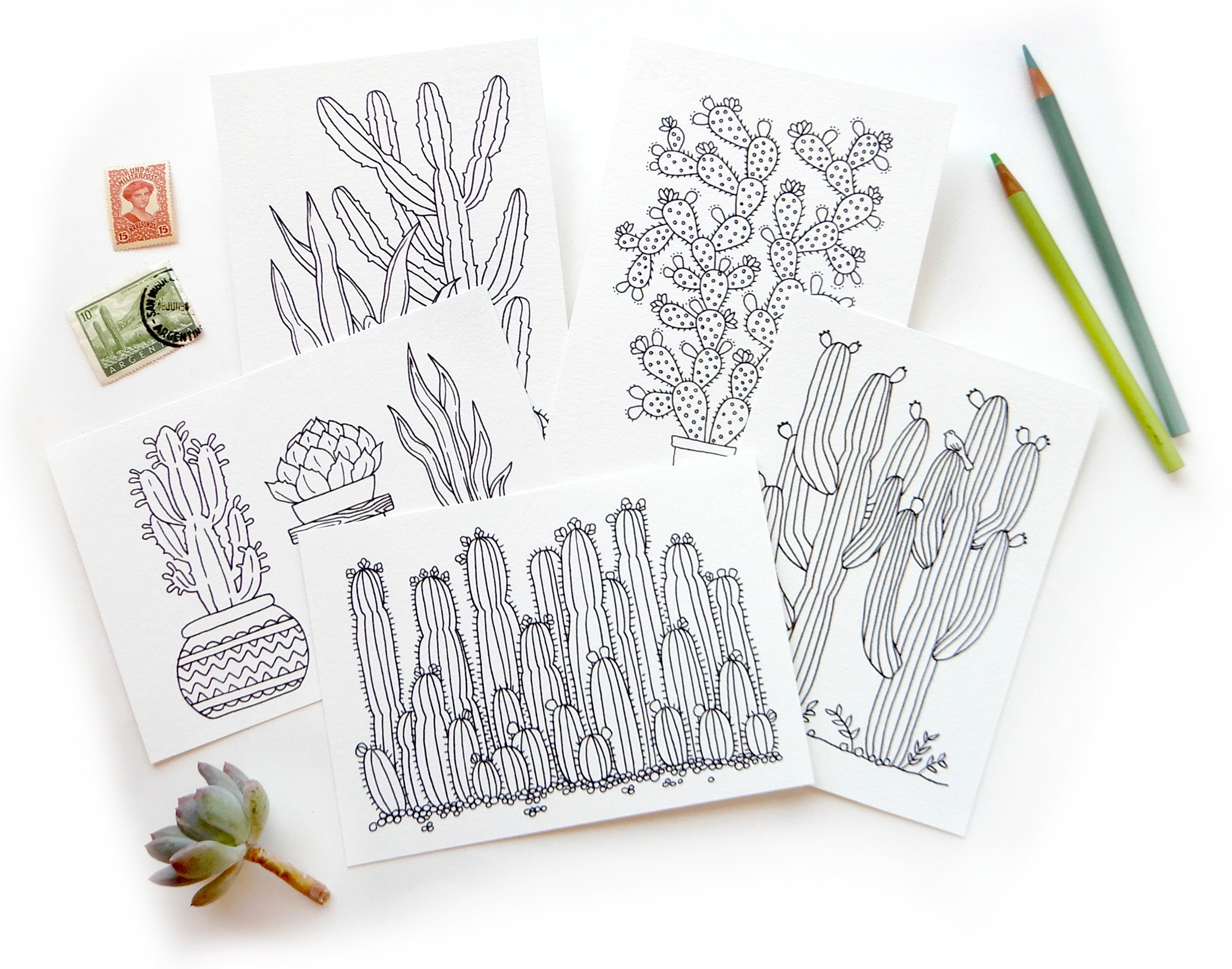 Cactus Themed Coloring Postcard | Set of 5 Cacti Illustrations ...