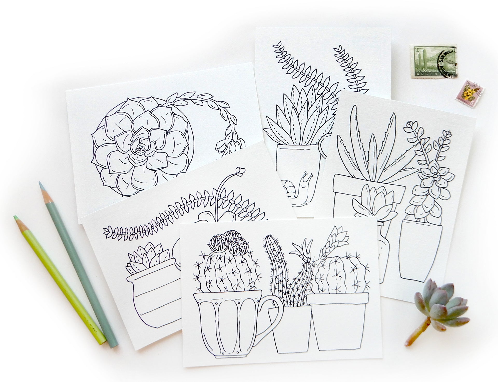 succulent postcards Coloring Postcards Succulents Set of 5