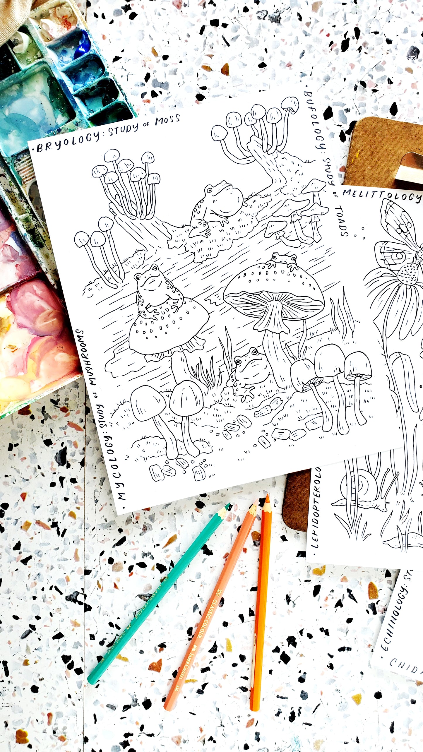 Ologies Themed Coloring Pages with Gardens, Forest and Ocean Ologies