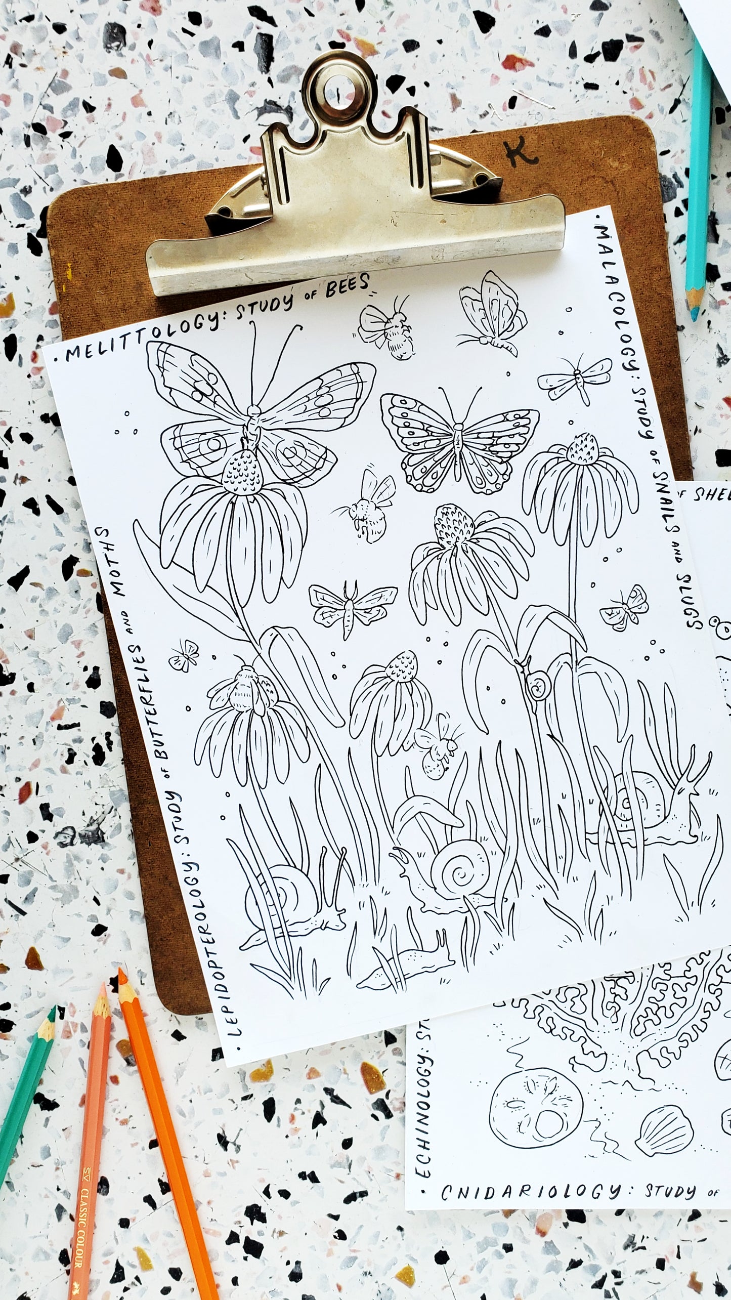 Ologies Themed Coloring Pages with Gardens, Forest and Ocean Ologies