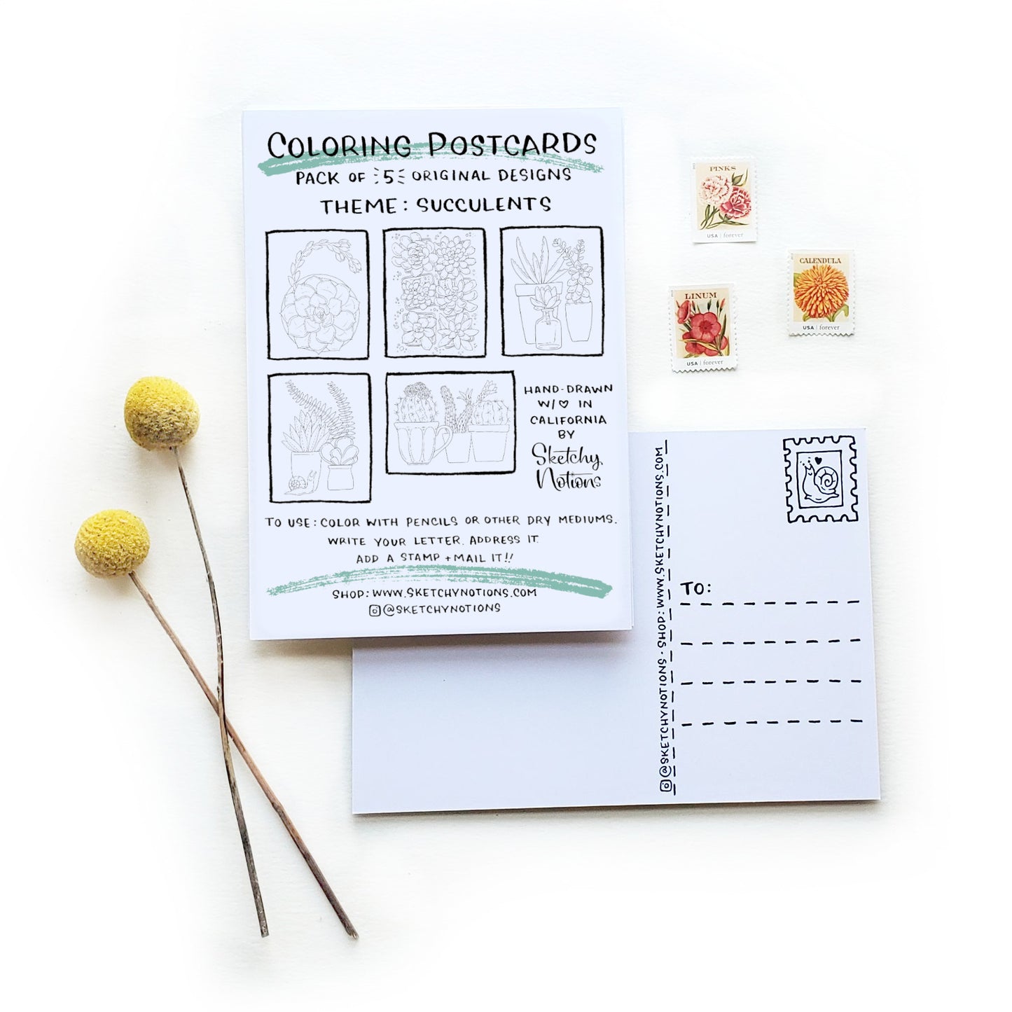 Coloring Postcards Succulents Set