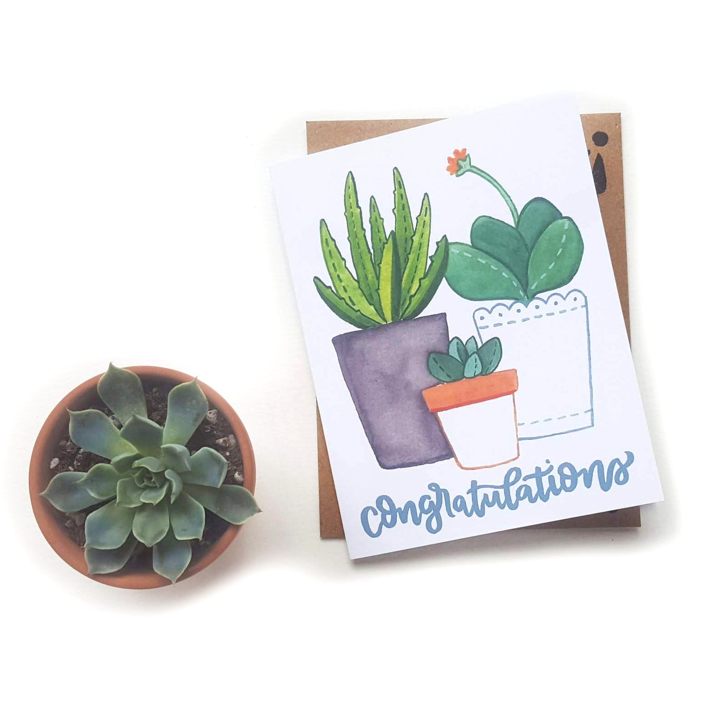 Congratulations Baby Succulent Card