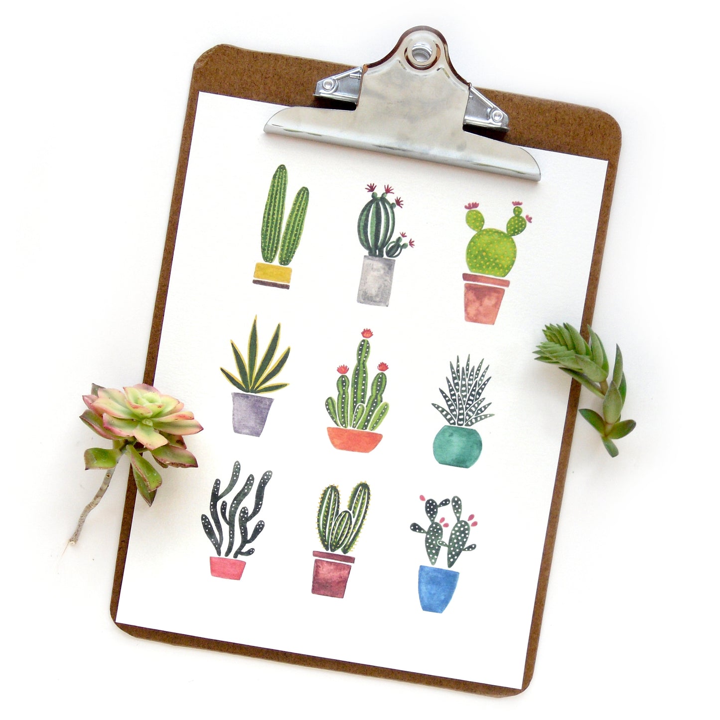 Mini Cactus Garden Watercolor Print