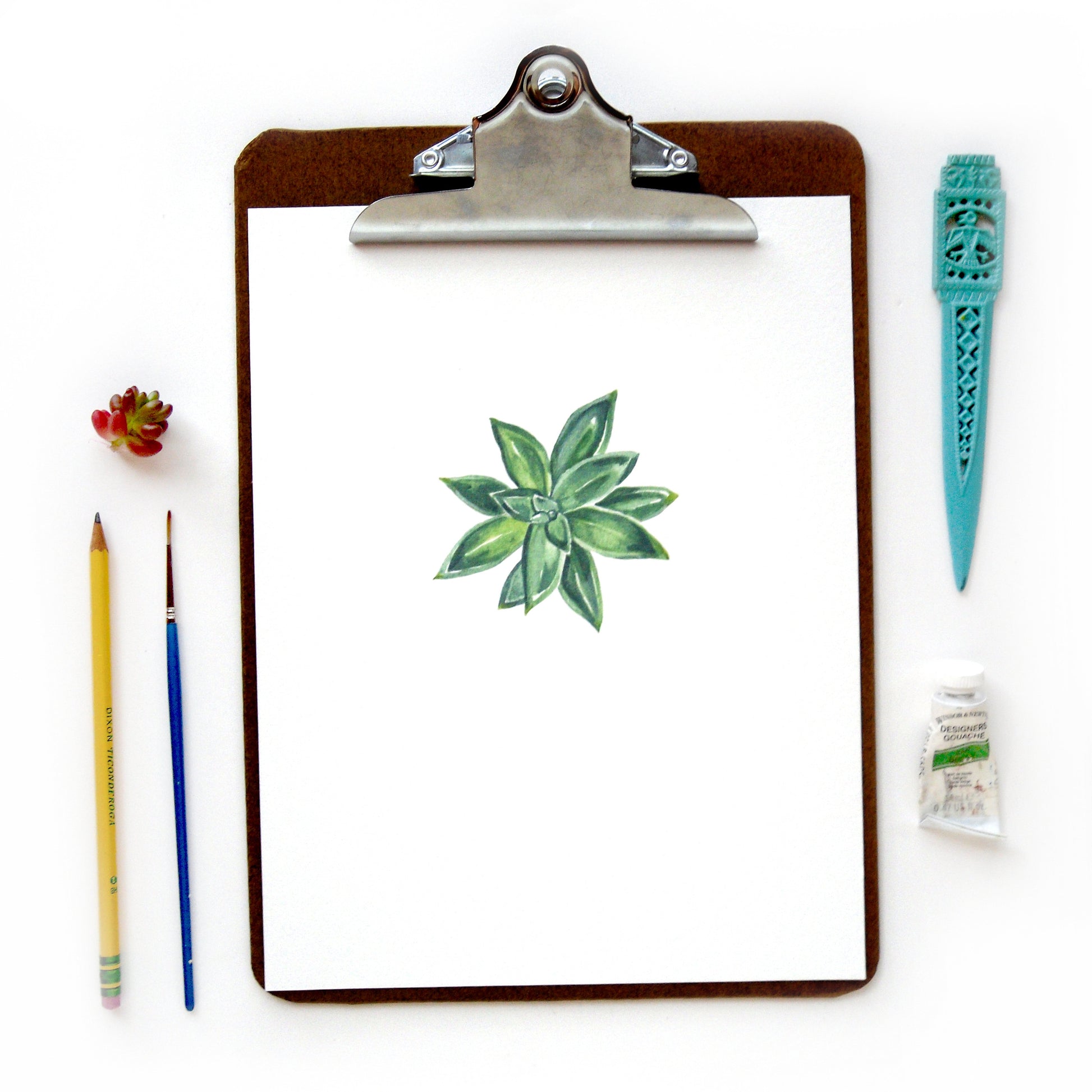 succulent stationery Succulent 1 Print – Sketchy Notions
