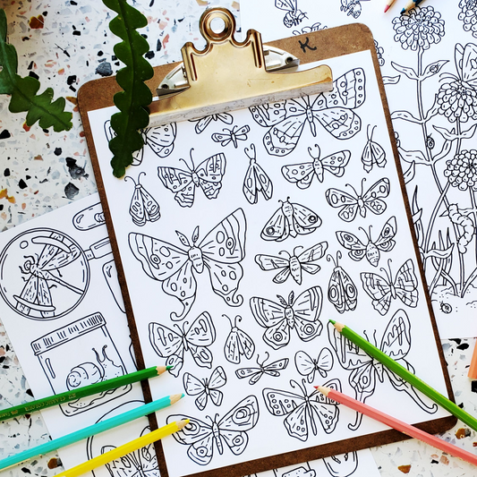 Butterflies + Insects Coloring Pages