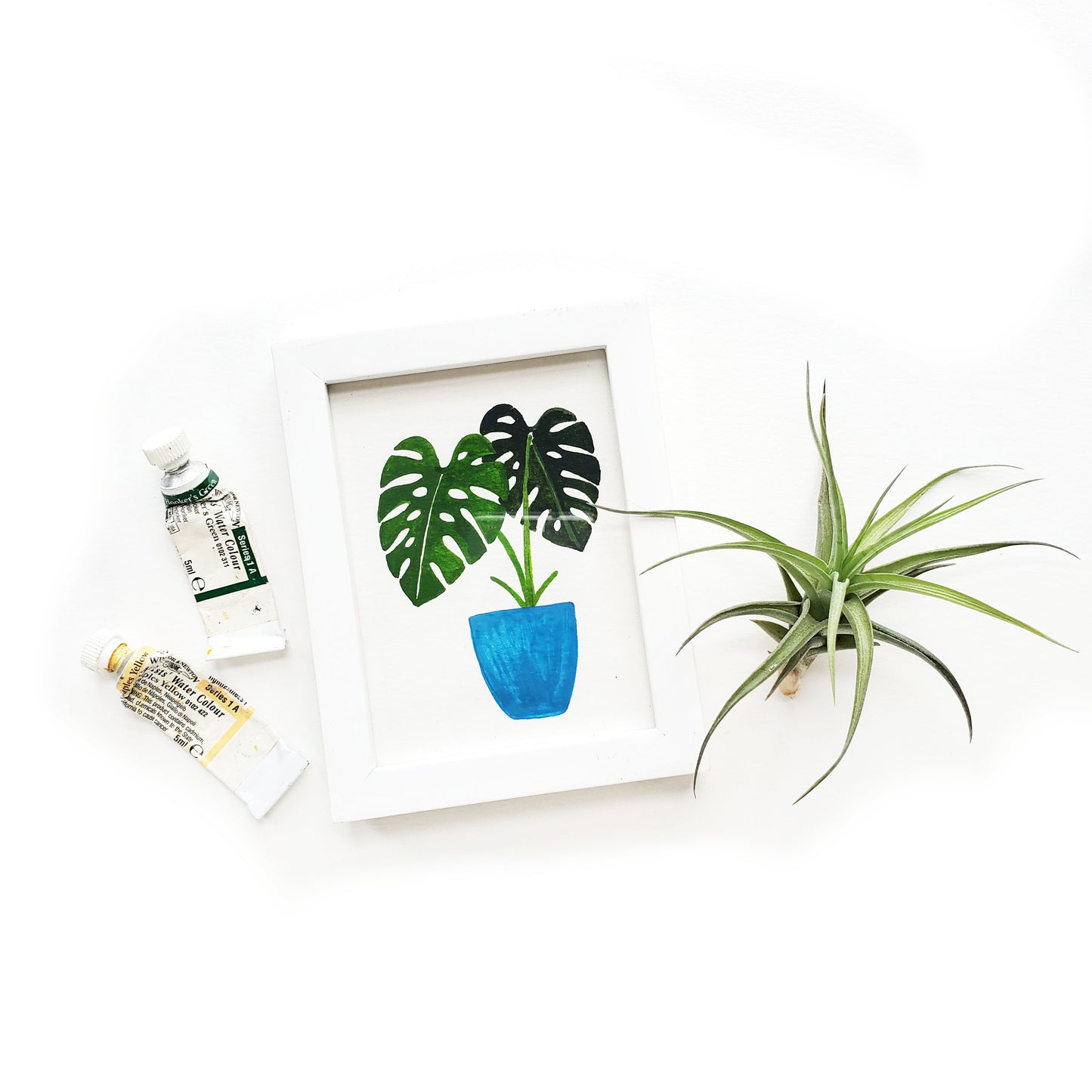 Custom Framed Mini Plant Watercolor Illustration