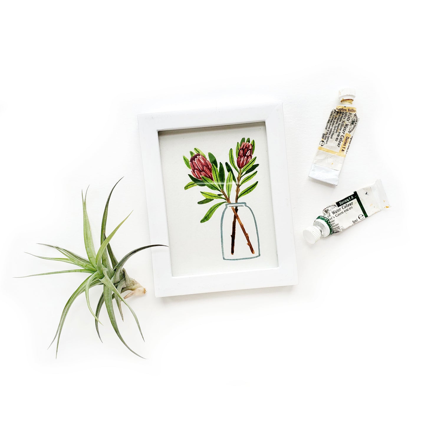 Custom Framed Mini Plant Watercolor Illustration